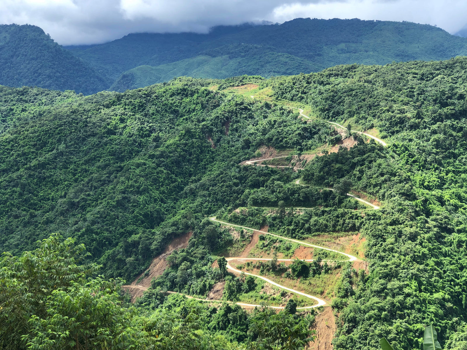 Myanmar Coffee and the War