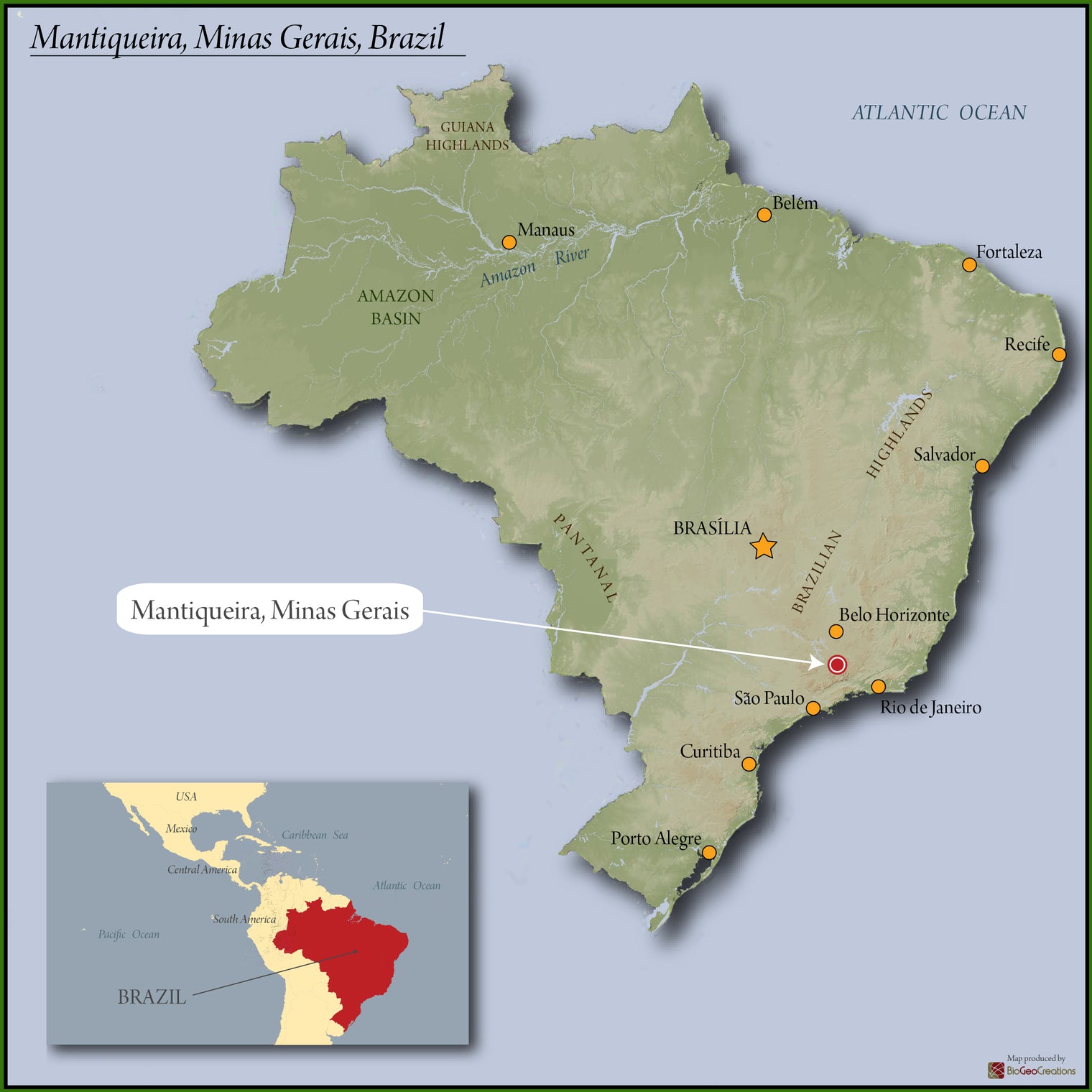 Wholesale Brazil